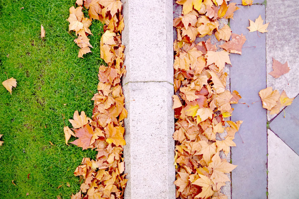 Pelouse et feuilles d'automne à Kensington Gardens