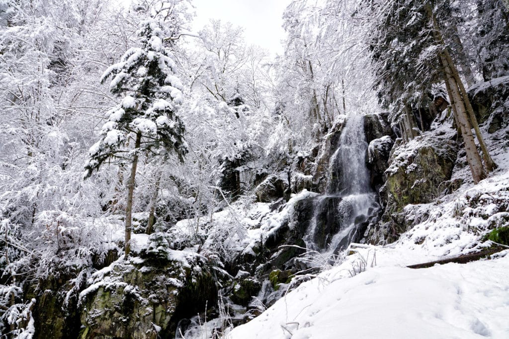 Promenade à la neige au Hohwald