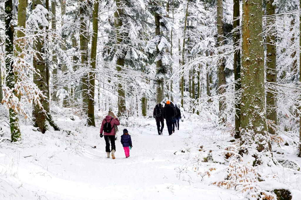 Promenade à la neige au Hohwald