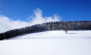 Promenade dans la neige et repas insolite au Hohwald