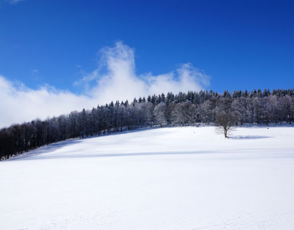 Promenade dans la neige et repas insolite au Hohwald