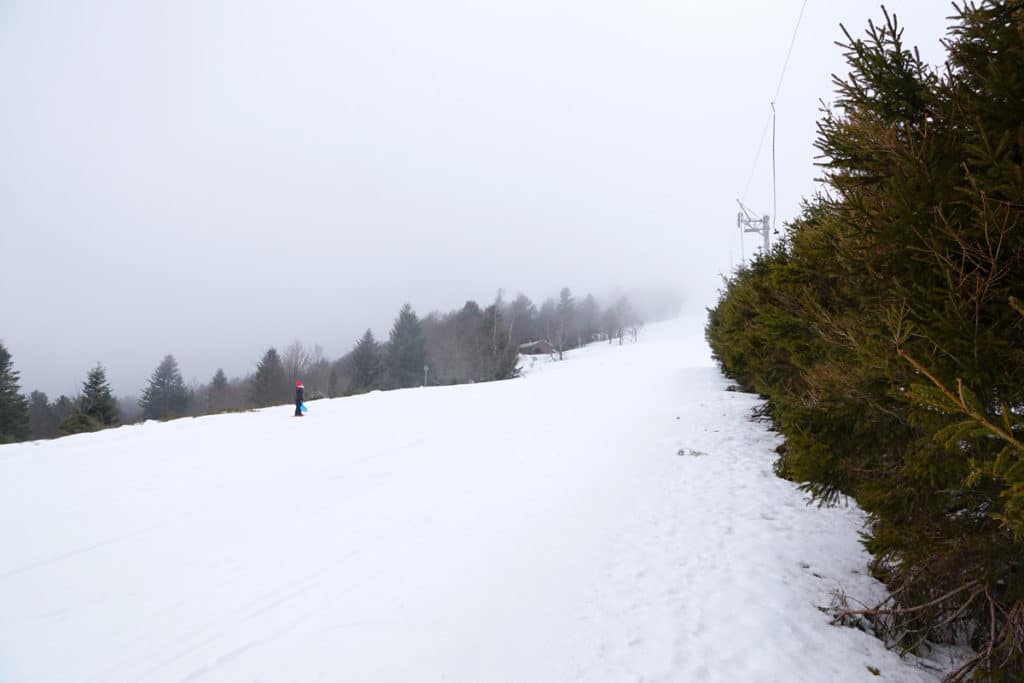 Piste de luge du Langenberg - Ballon d'Alsace