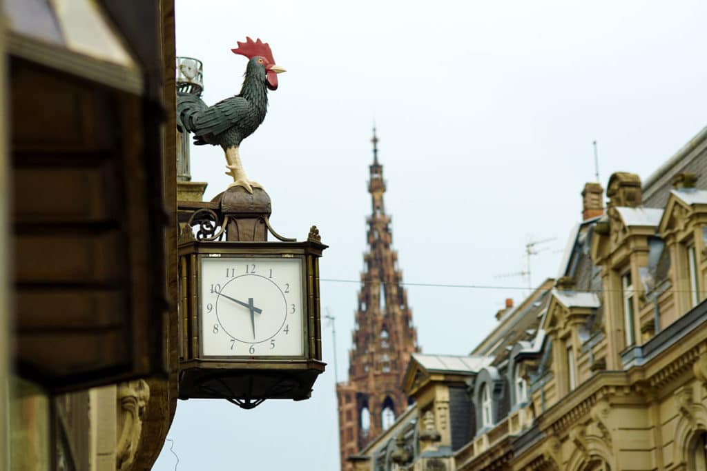 Le Coq des DNA rue de la Nuée Bleue à Strasbourg