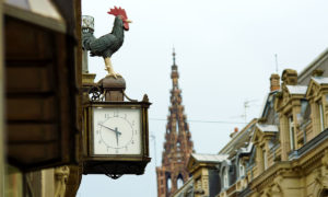 Le coq et la poule de la Rue de la Nuée Bleue