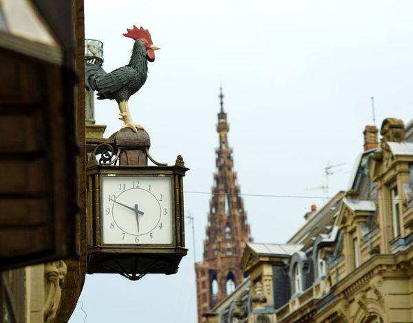 Le coq et la poule de la Rue de la Nuée Bleue