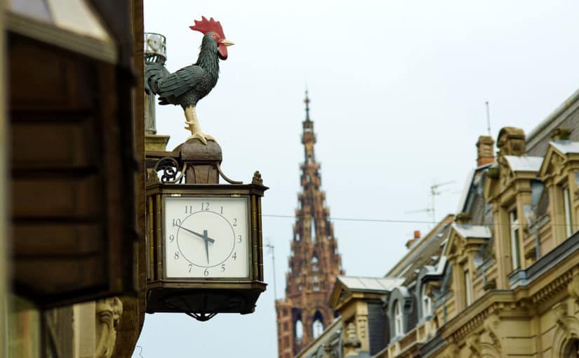 Le Coq des DNA rue de la Nuée Bleue à Strasbourg