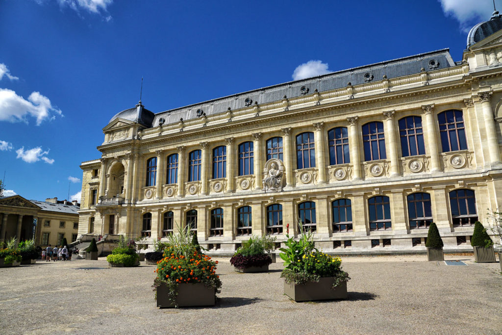 Grande Galerie de l'Evolution à Paris