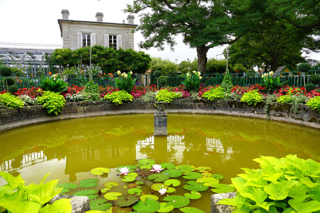 Le bassin et les carpes du jardin botanique de Bayeux