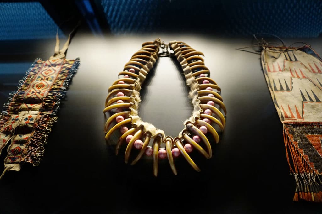 Collier en griffes de grizzly (Amérique du Nord)