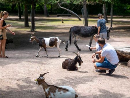 Strasbourg : 6 idées d’activités pour les vacances de la Toussaint