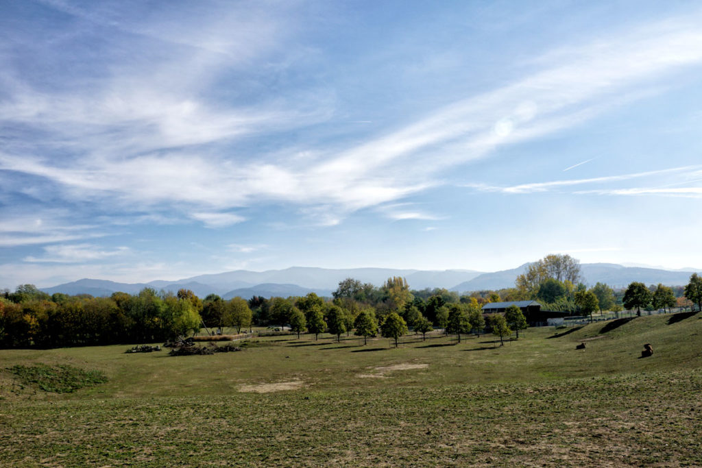 Parc animalier du Mundenhof