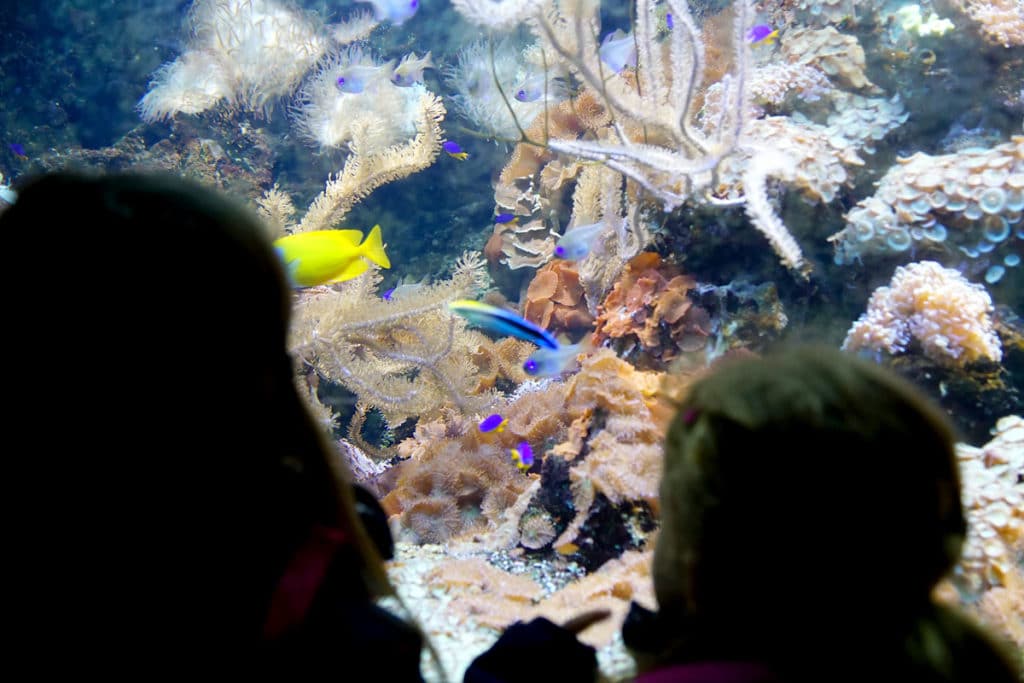 Aquarium Mundenhof