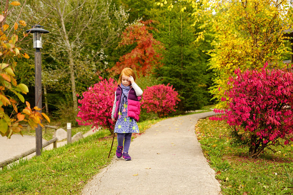 Promenade dans le Center Parcs des Trois Forêts