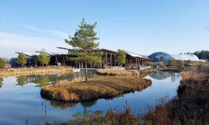 Séjour en famille au Center Parcs des 3 Forêts