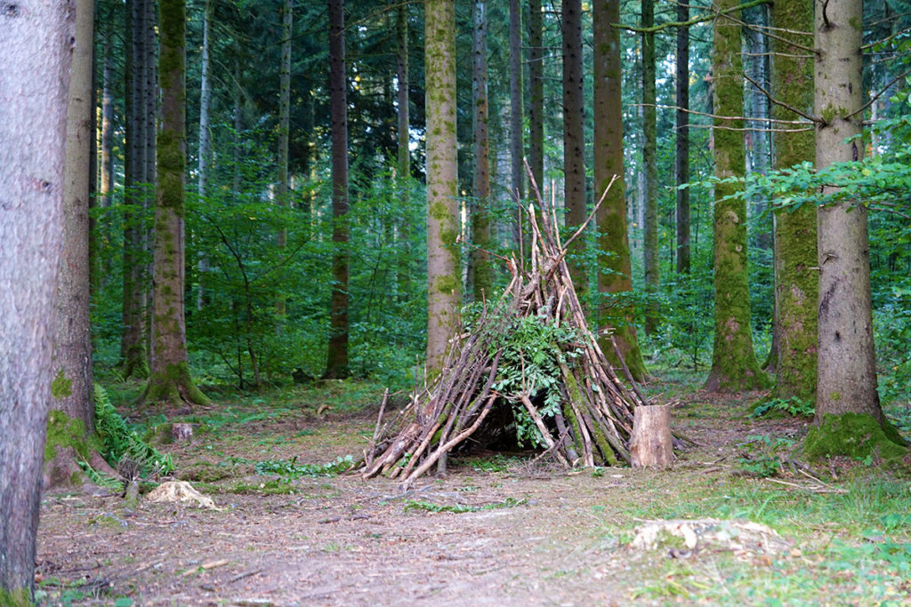 Cabane dans les bois du Center Parcs des Trois-Forêts