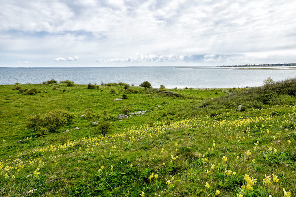 Fyns hoved à la pointe de la Fionie