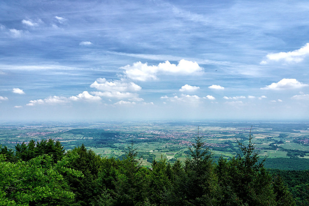 Vue sur Obernai depuis le Mont Sainte-Odile