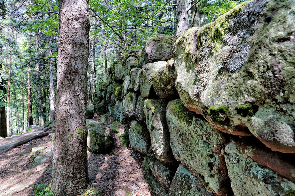 Le mur païen au Mont Sainte-Odile