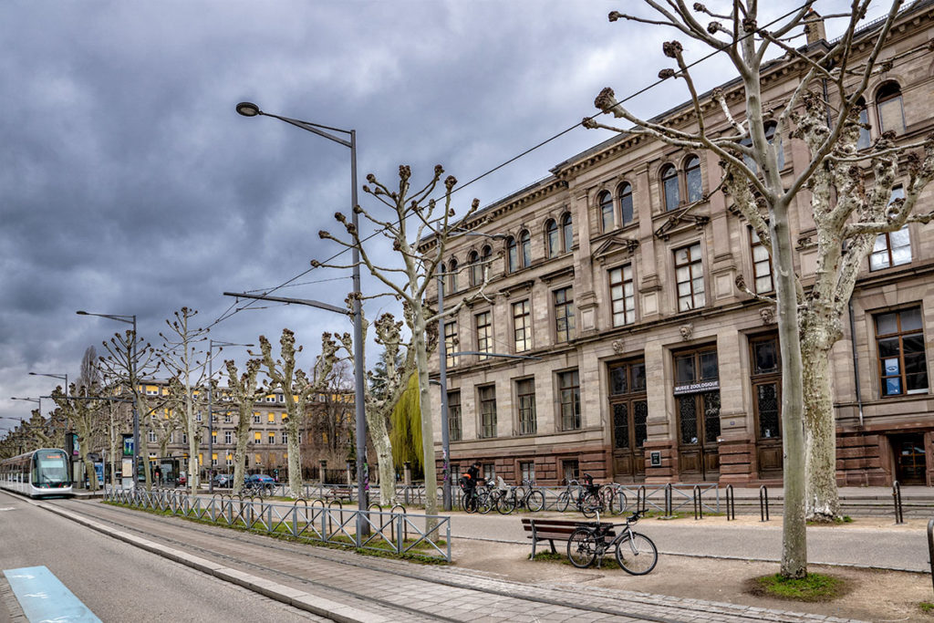 Musée Zoologique de Strasbourg