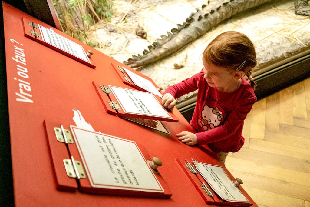 Quiz au musée zoologique de Strasbourg