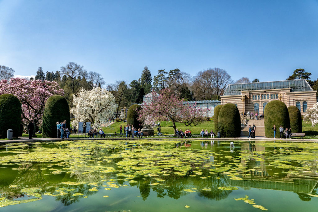 Wilhelma, jardin botanique et zoologique à Stuttgart