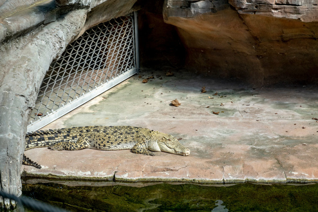 Wilhelma, jardin botanique et zoologique à Stuttgart