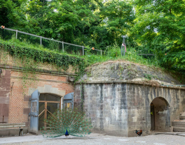 Le Parc du Fort Kléber à Wolfisheim