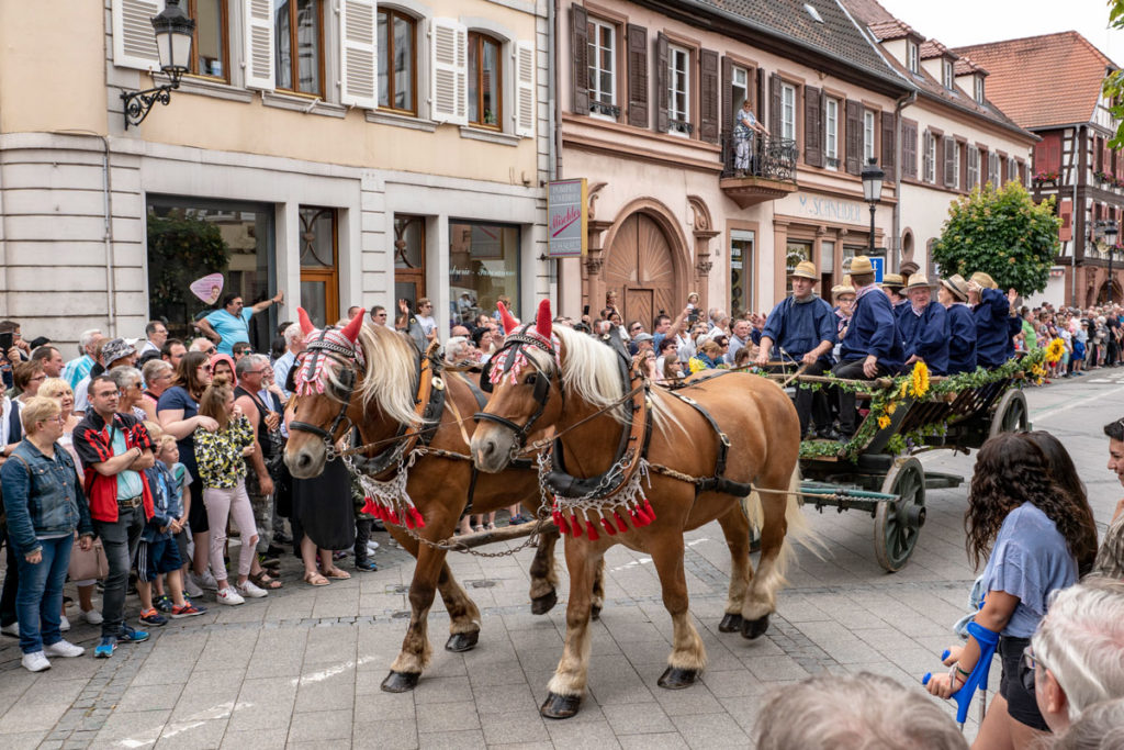 Défilé de chevaux à Wissembourg