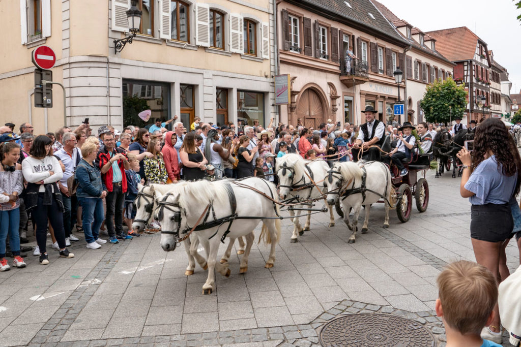 Défilé de chevaux à Wissembourg