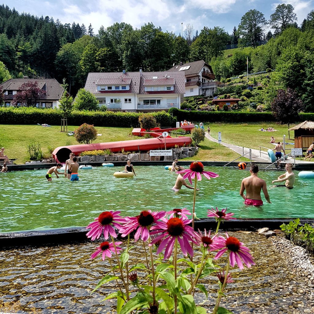 Fleurs au bord du bassin de la piscine d'Ottenhofen