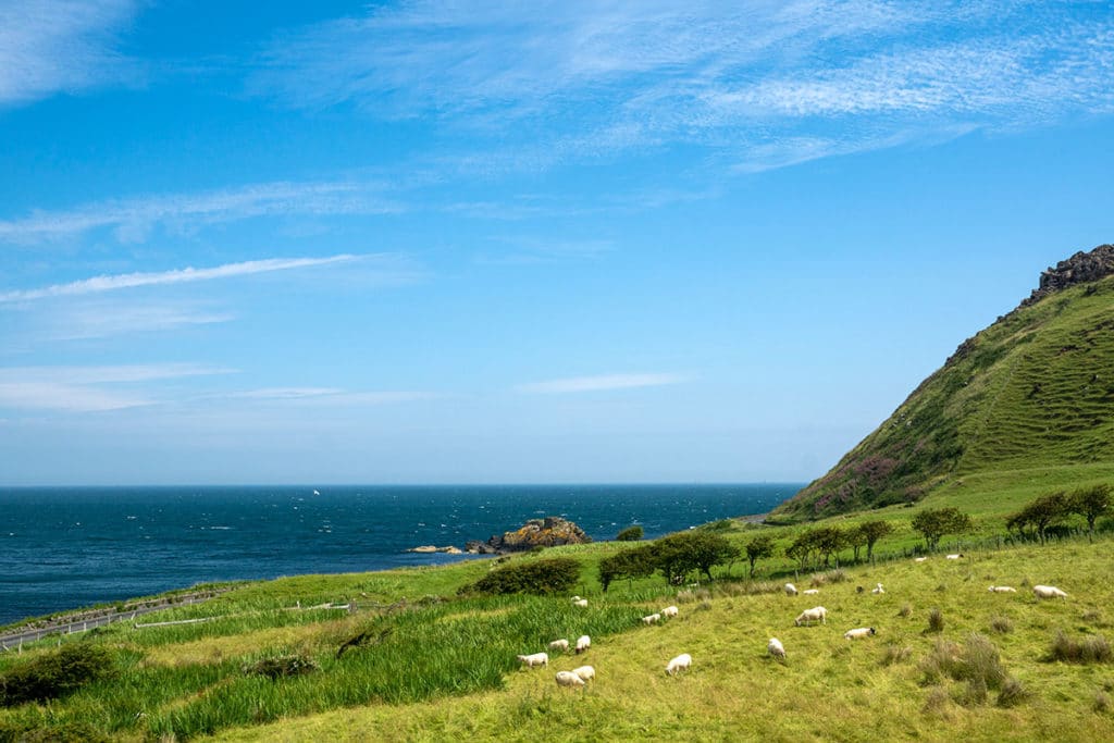 Voyage en famille en Irlande du Nord Cotad