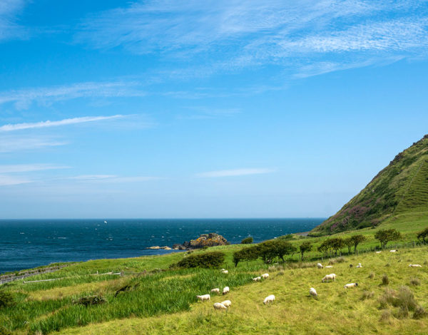 Voyage en famille en Irlande du Nord