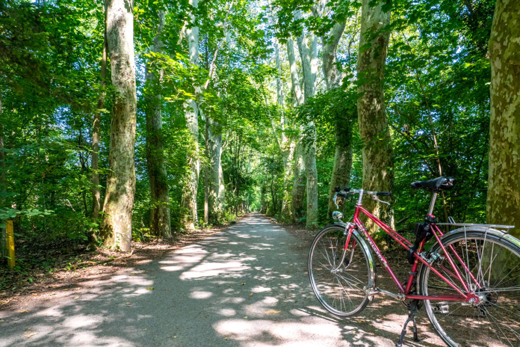 Forêt de la Robertsau à vélo sur la piste des forts