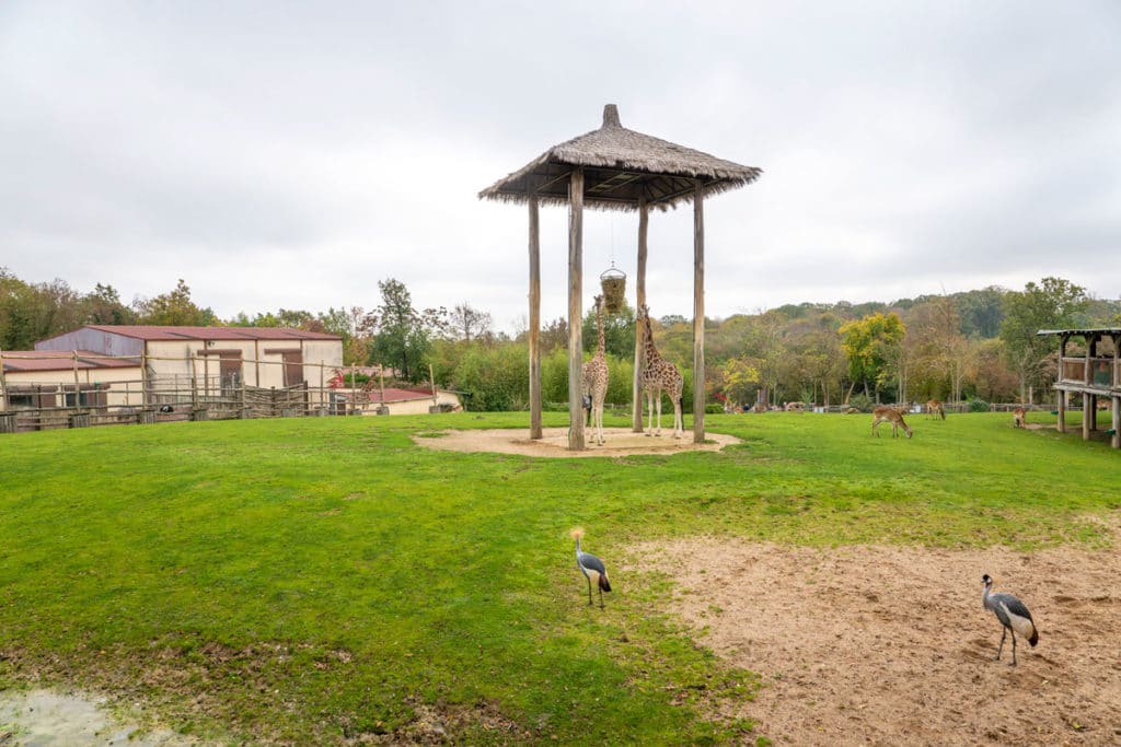 Plaine africaine du zoo d'Amnéville