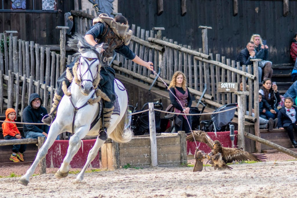 Spectacle des rapaces et chevaux au zoo d'Amnéville