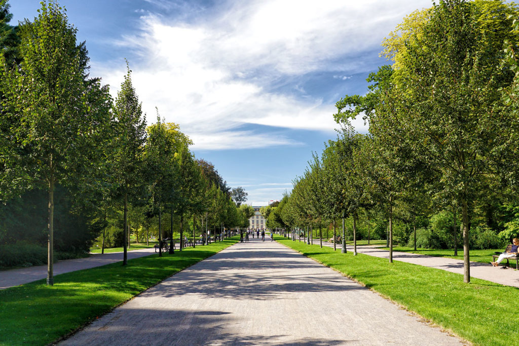 Allée du parc de l'Orangerie