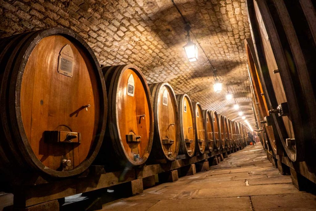 Chai de la cave des hospices de Strasbourg