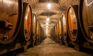 Visite de la cave des hospices de Strasbourg