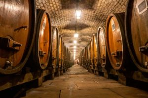 Cave historique des Hospices de Strasbourg