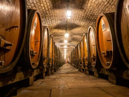 Visite de la cave des hospices de Strasbourg