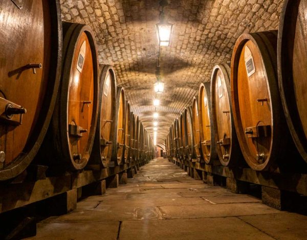 Visite de la cave des hospices de Strasbourg