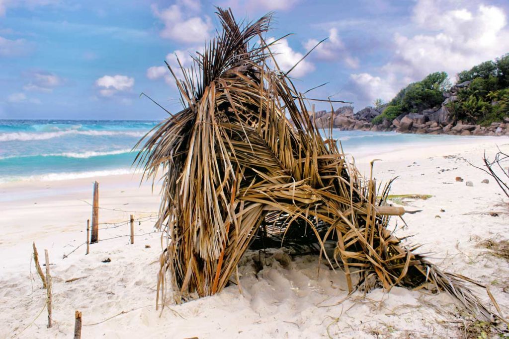 Cabane de pêcheur sur une plage des Seychelles