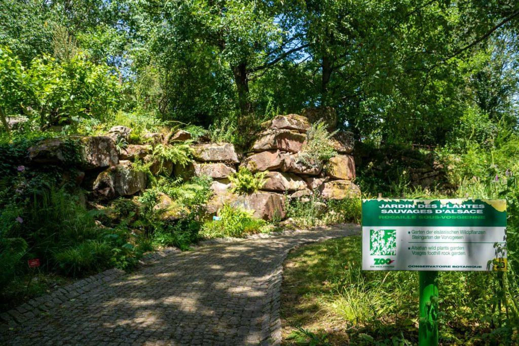 Jardin des plantes sauvages d'Alsace