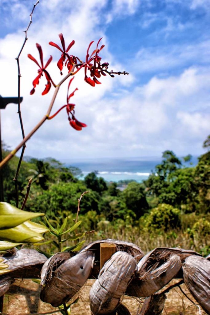 Les jardins du roi aux Seychelles