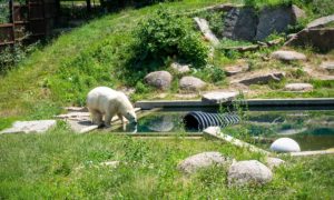 Visite du Zoo de Mulhouse