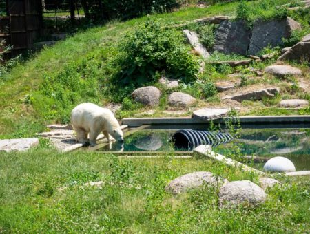 Visite du Zoo de Mulhouse