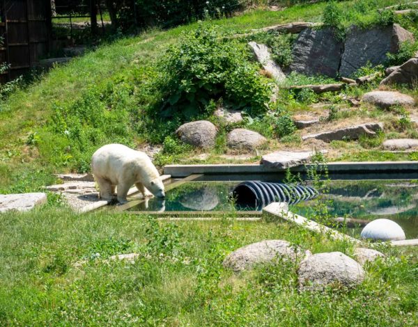 Visite du Zoo de Mulhouse