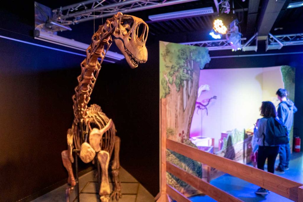 Les dinosaures de Normandie au Paléospace