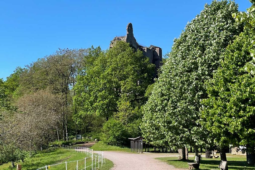 Chateau de Fleckenstein