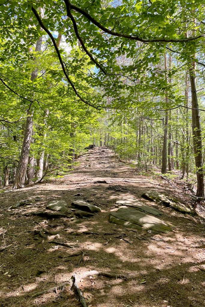 Sentier de randonnée des 4 châteaux